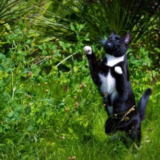 APOY 2024 – Round 4 –&nbsp;Action