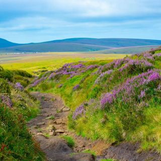 APOY 2024 – Round 5 –&nbsp;Landscapes