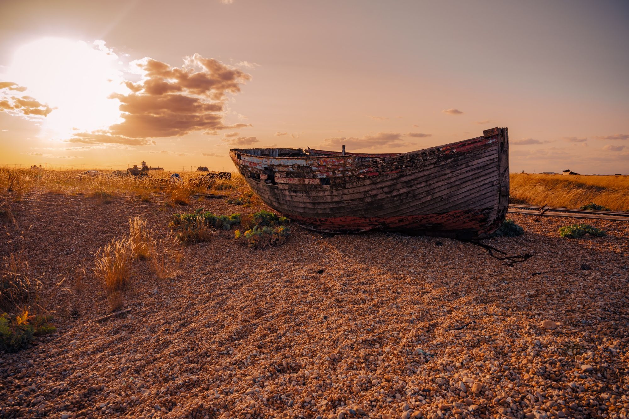Dungeness