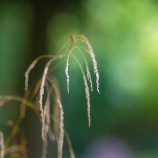 APOY 2024 – Round 7 –&nbsp;Macro