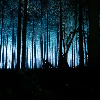 APOY 2024 – Round 8 – Dusk to&nbsp;Dawn