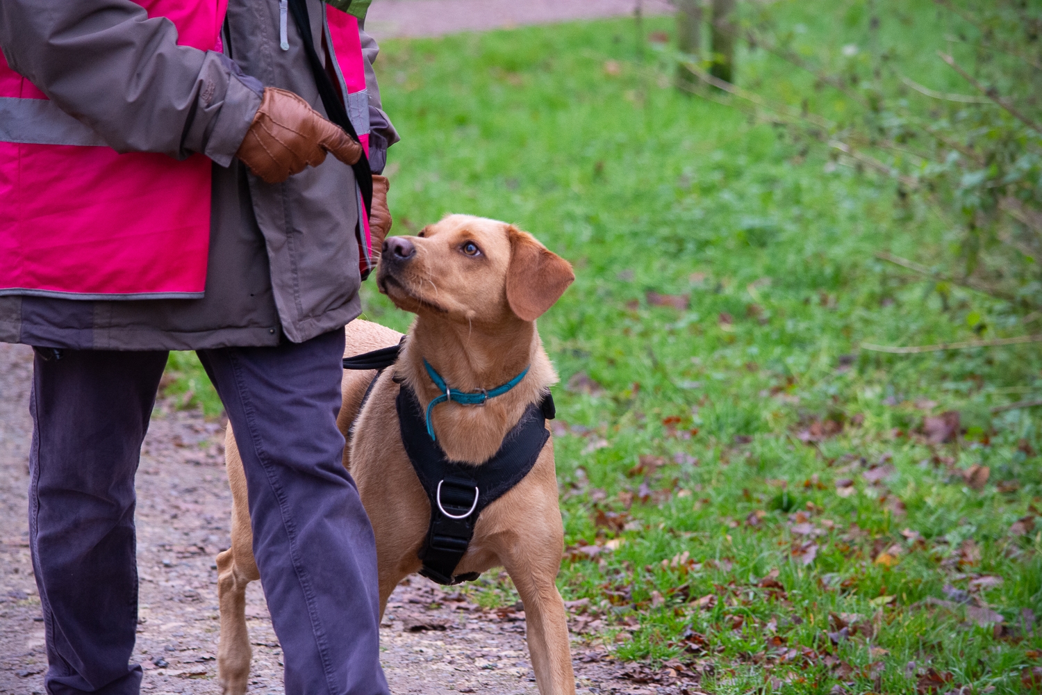 Salcey Forest parkrun [30112024]