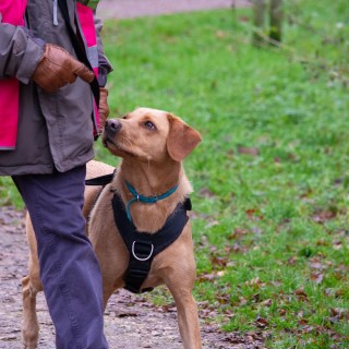 Salcey Forest parkrun&nbsp;[30112024]