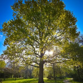 Bognor Regis parkrun