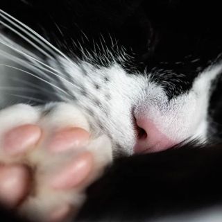 APOY 2025 – Round 3 – Close-ups and&nbsp;details