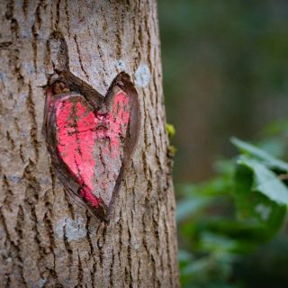 APOY 2025 – Round 5 – Celebrating&nbsp;Colour