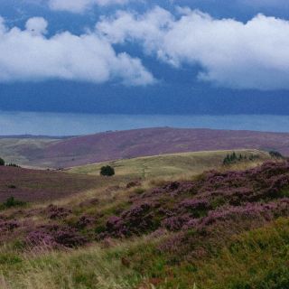 52 Assignments – Instagram – #01 Maximize Your&nbsp;Post