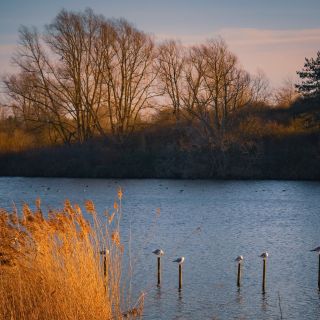 52 Assignments – Nature – #11 Wildlife&nbsp;Landscape