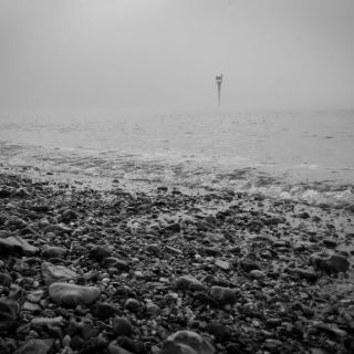 APOY 2025 – Round 10 – Open