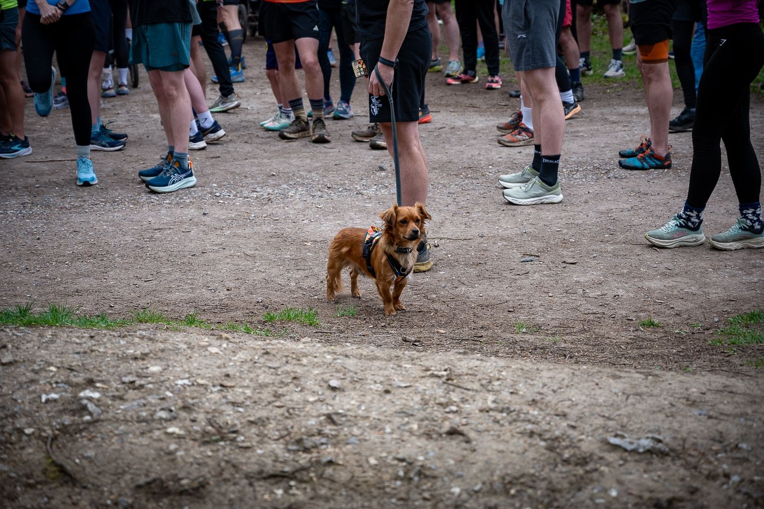 Wendover Woods parkrun [04042026]