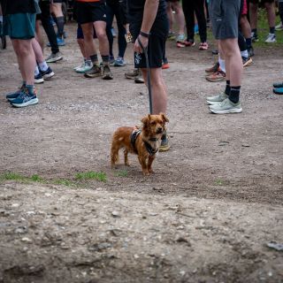 Wendover Woods parkrun&nbsp;[04042026]