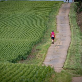 Frank’s Farm parkrun&nbsp;[06062026]