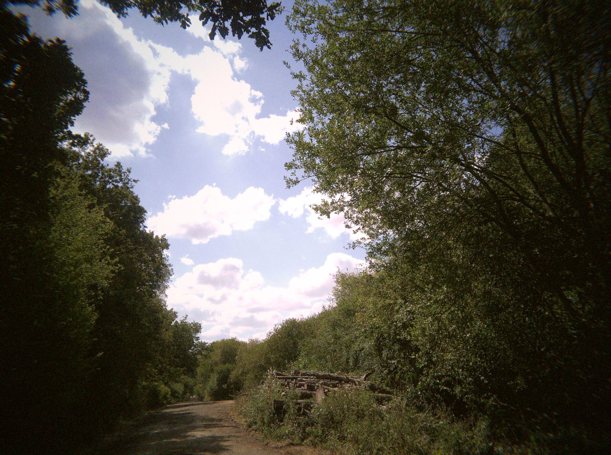 Outdoors with Flashback